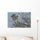 héron cendré, ardea cinerea Wall Mural