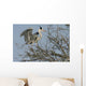 héron cendré, ardea cinerea Wall Mural