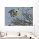 héron cendré, ardea cinerea Wall Mural