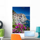 Manarola Cinque Terre Italy Wall Mural