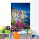 Manarola Cinque Terre Italy Wall Mural