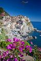 Manarola Cinque Terre Italy Wall Mural