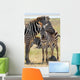 Baby Zebra with Mother