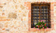 Tuscan Window Wall Mural