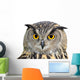 Eagle Owl Bubo Bubo Wall Mural