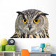 Eagle Owl Bubo Bubo Wall Mural