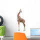 Giraffe White Wall Mural