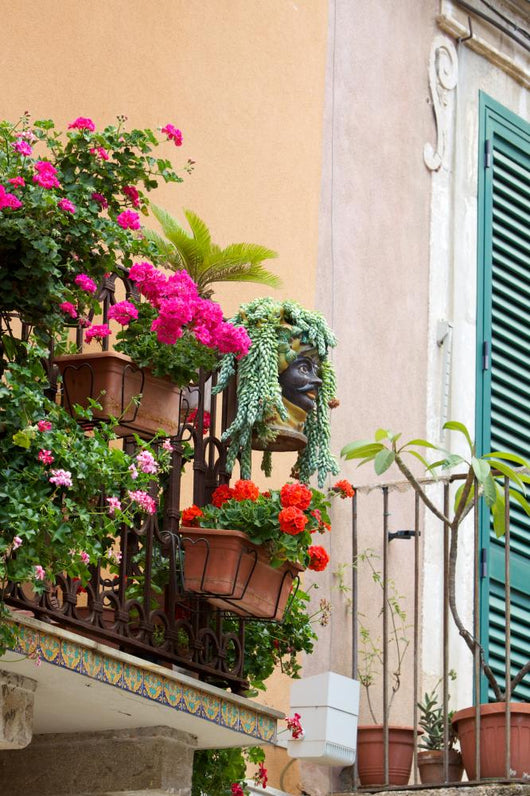 Gerani Su Balcone Wall Mural