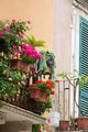 Gerani Su Balcone Wall Mural