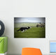 Sheepdog Working Sheep Wall Mural