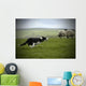 Sheepdog Working Sheep Wall Mural