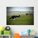 Sheepdog Working Sheep Wall Mural