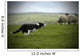 Sheepdog Working Sheep Wall Mural