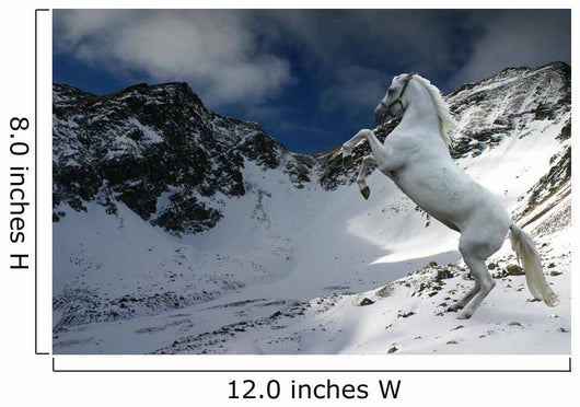 Winter Horse Wall Mural