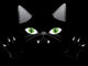 Black Cat Face with Wall Decal