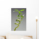 Bamboo Plant Wall Mural