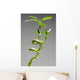 Bamboo Plant Wall Mural