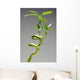 Bamboo Plant Wall Mural