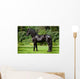 Friesian Horse Standing Outdoors