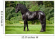Friesian Horse Standing Outdoors