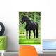 Friesian Horse Standing Outdoors Wall Mural