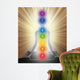 symbols of seven chakras Wall Mural