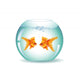 Goldfish bowl Wall Decal