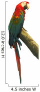 Red Parrot on a Branch Wall Decal