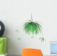 Spider Plant Hanging Plant