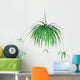 Spider Plant Hanging Plant