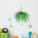 Spider Plant Hanging Plant