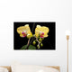 Yellow Orchid Black