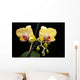 Yellow Orchid Black