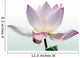 Lotus flower Wall Decal
