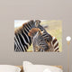 Baby Zebra with Mother Wall Mural