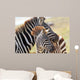 Baby Zebra with Mother Wall Mural