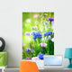 Cornflowers Wild Blue Flowers