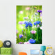 Cornflowers Wild Blue Flowers
