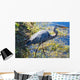 Heron Everglades Wall Mural