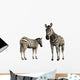 Zebra Wall Decal