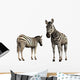 Zebra Wall Decal
