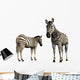 Zebra Wall Decal