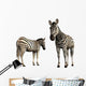 Zebra Wall Decal