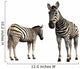 Zebra Wall Decal