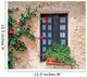 Sardinian Window