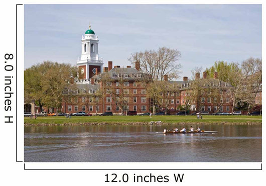 Harvard dorm along the Charles Wall Mural