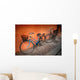 Italian Old-style Bicycles Wall Mural