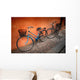 Italian Old-style Bicycles Wall Mural