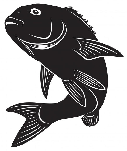 sea bass Wall Decal