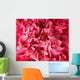 Pink poppy flower petals - background Wall Mural